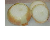 Onion with top and bottom removed